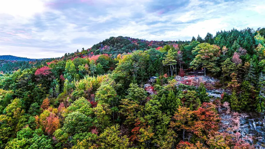 544 Vulture Mountain Road, Stockbridge, VT 05772 - #3