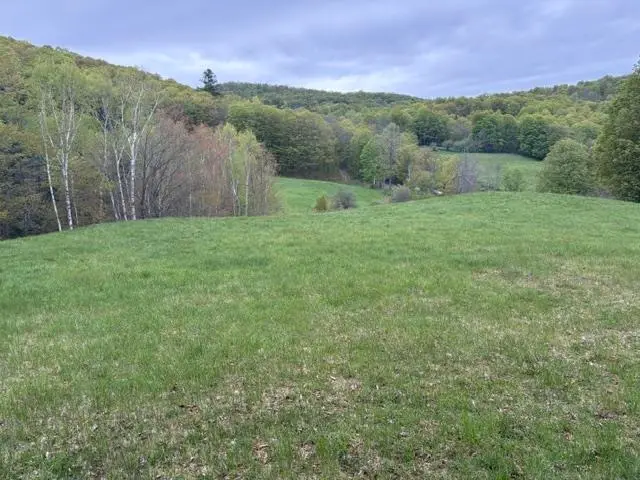 199 Arthur Morgan Road, Woodstock, VT 05091 - #2