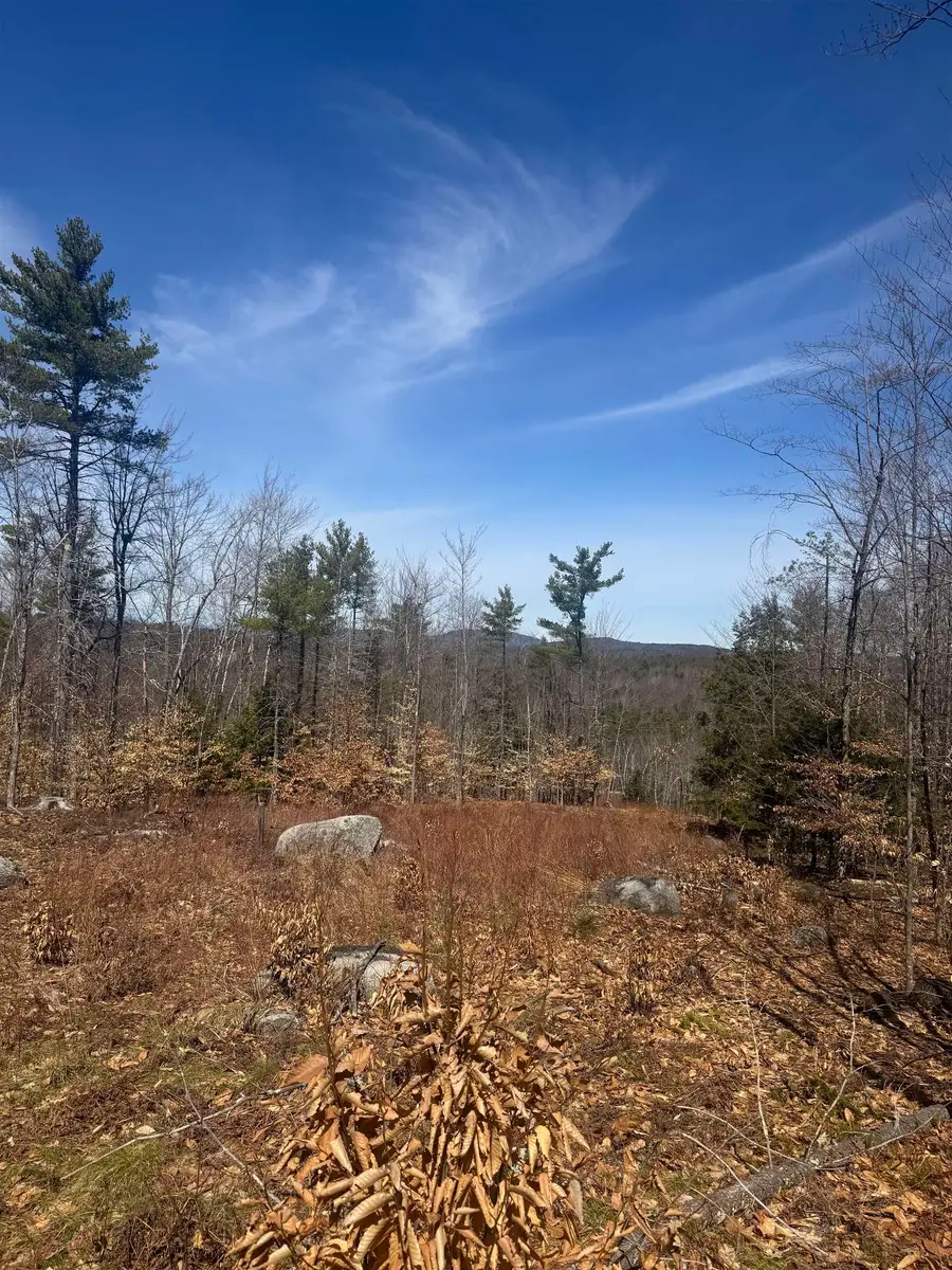 8 Wakefield North Road, Wolfeboro, NH 03894 - #2
