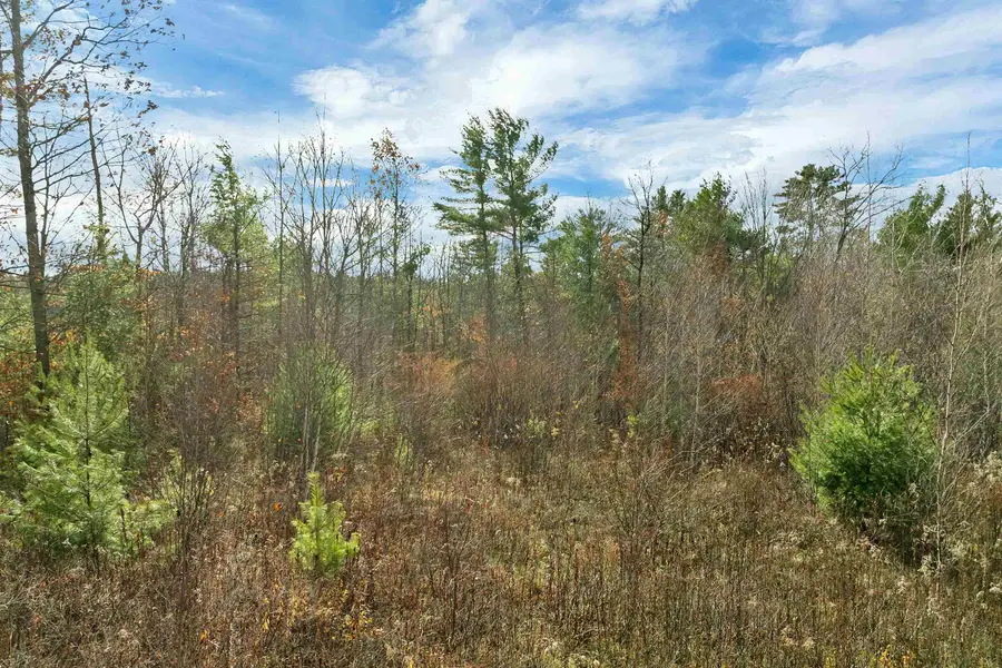 Lady Slipper Lot 7 Lane, Moultonborough, NH 03254 - #3