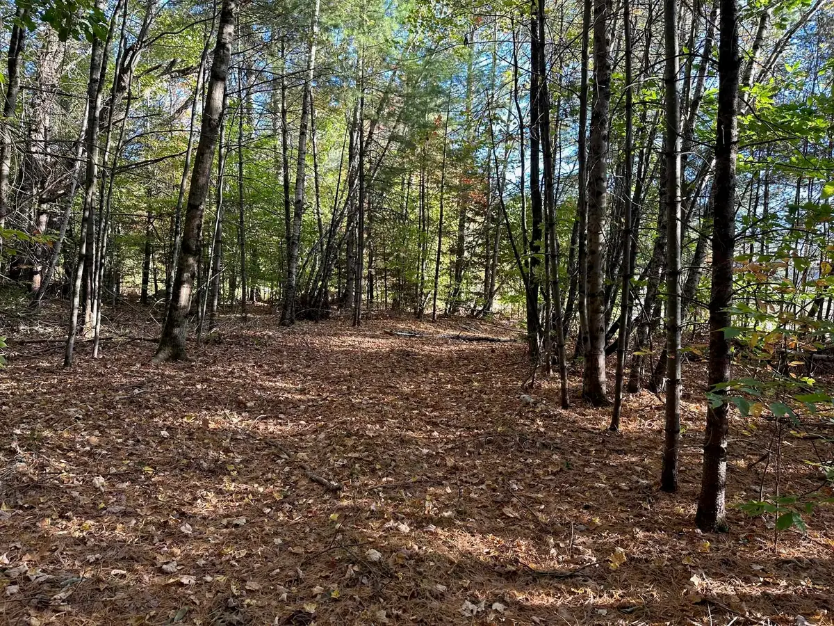 19 Sunrise Hill Road, Thornton, NH 03285 - #1