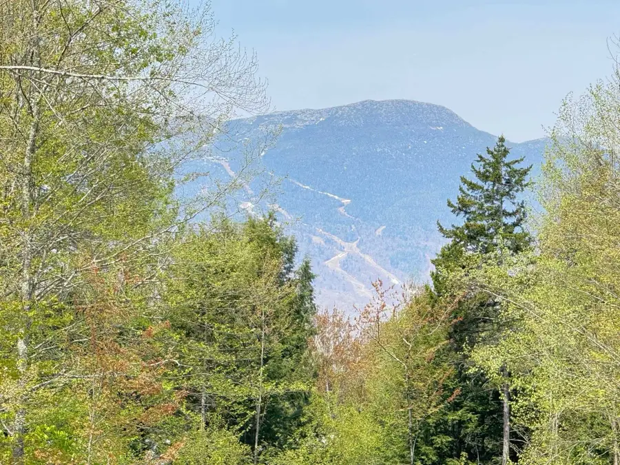 2366 mountain Road #unit 3, Stowe, VT 05672 - #2