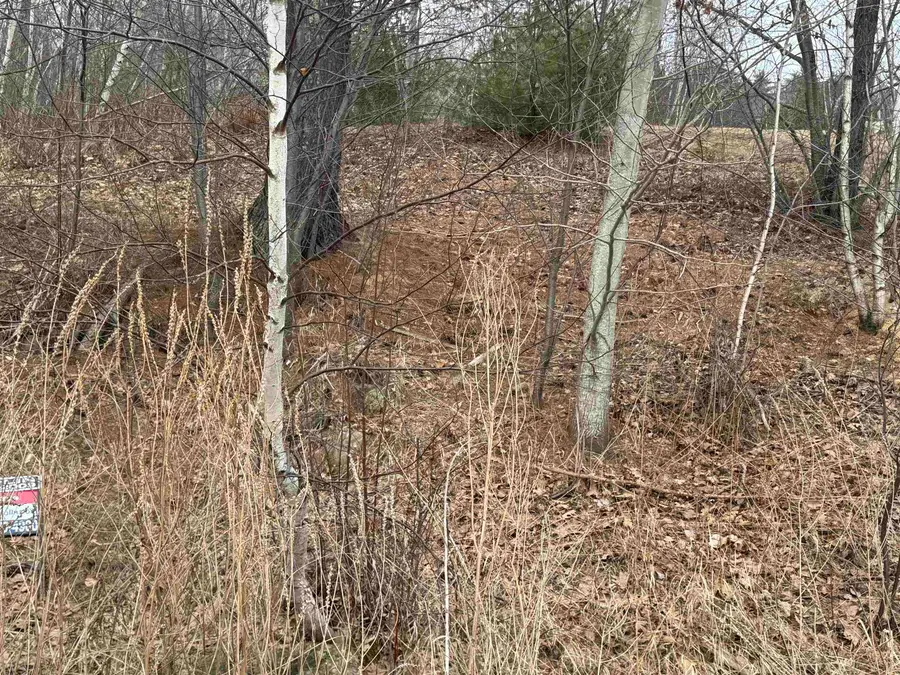 Barnstead North Road #4, Center Barnstead, NH 03225 - #3