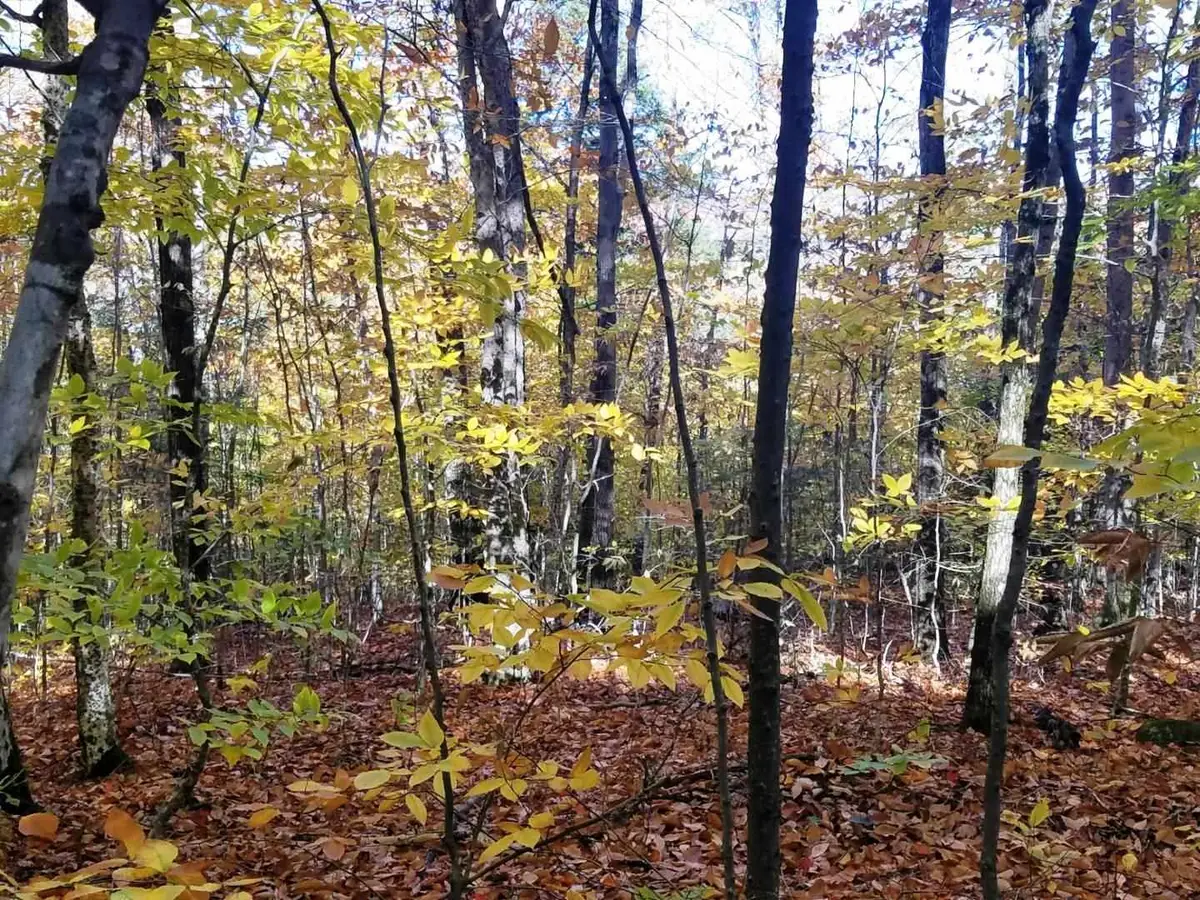 12-10 Boulder Drive, Campton, NH 03223 - #1