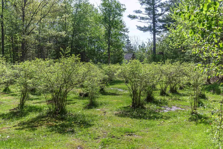 49 Moss Road, Hopkinton, NH 03229 - #3