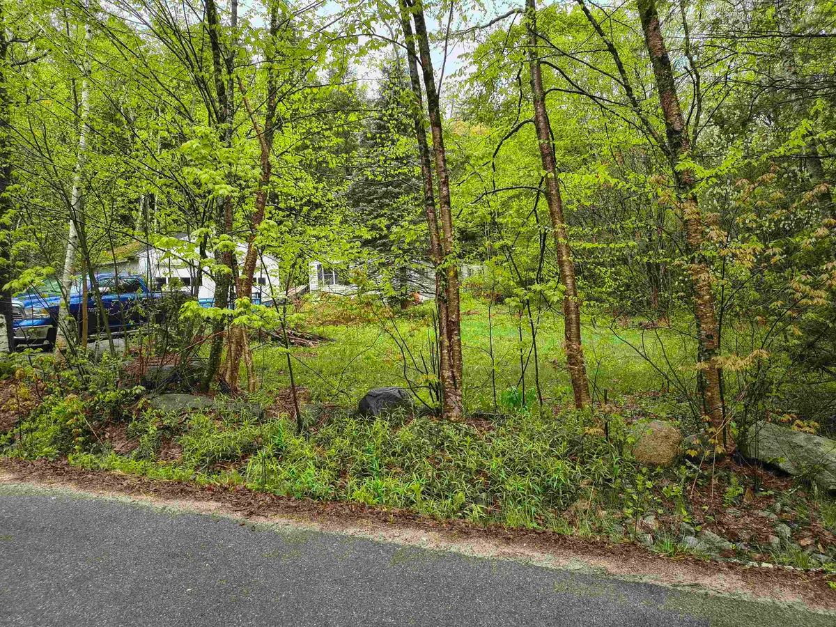 106 Waldron Hill Road, Warner, NH 03278 - #1