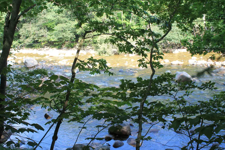 250 South Peak Road, Lincoln, NH 03251 - #3