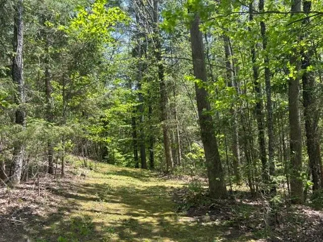 0 Gold Coast Road, Bridgewater, VT 05034 - #3