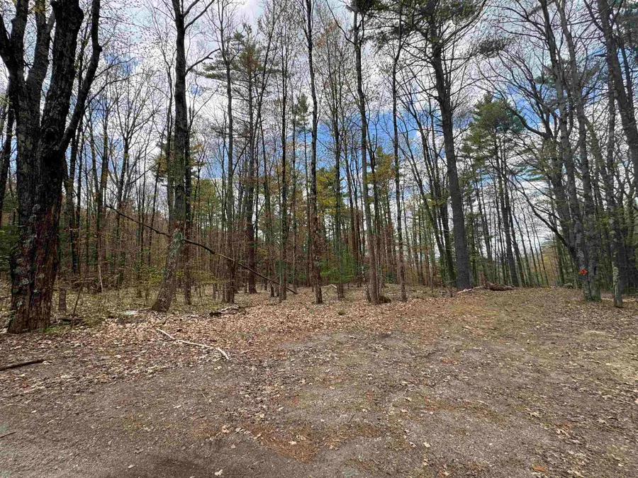 00 Esty Road, Westmoreland, NH 03467 - #3