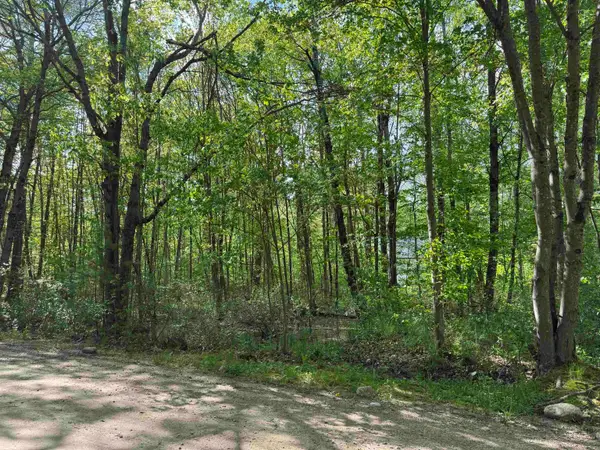 Moccasin Trail #616, Hillsborough, NH 03244