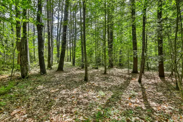 2A & 2B Camp Road, Amherst, NH 03031