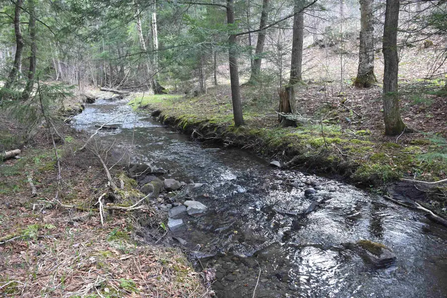 Lot B Windmill Lane, Williamstown, VT 05679 - #3