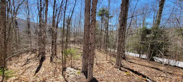 7 Spring Hill Road, Killington, VT 05751