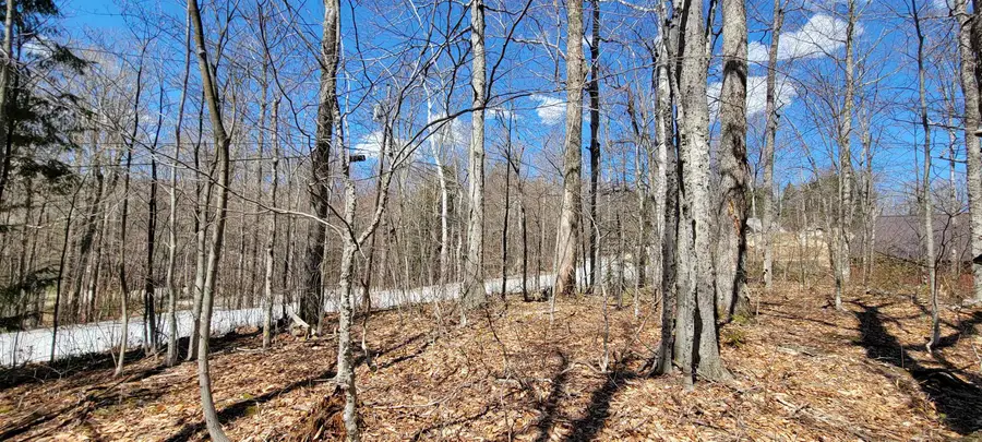 7 Spring Hill Road, Killington, VT 05751 - #3