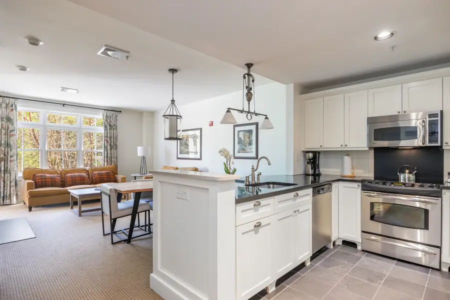 102 Forest Drive #202 (LO 204)/ IV Clay Brook at Sugarbush, Warren, VT 05674 - #2