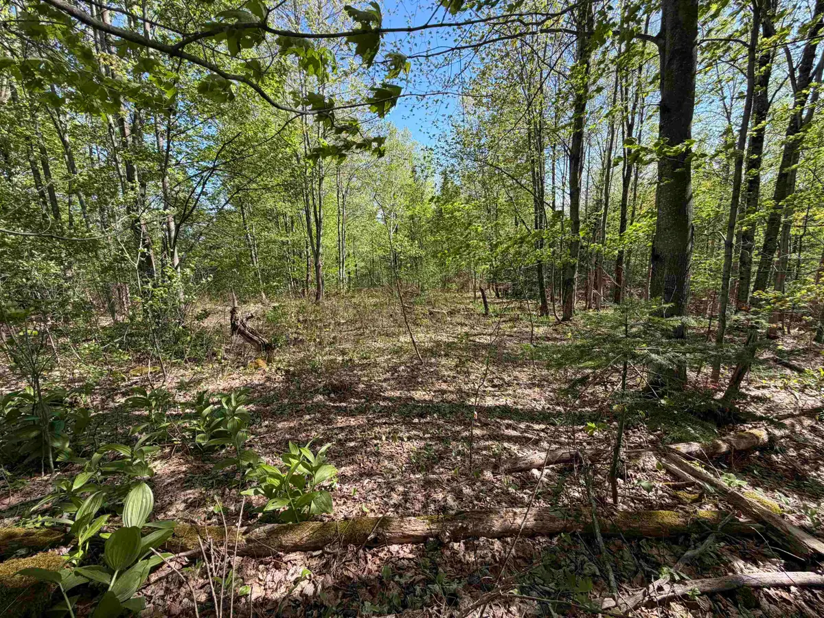 550 Petit Road, Coventry, VT 05825 - #1