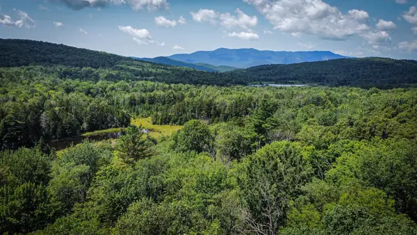 00-2 Prickly Mountain Road, Warren, VT 05674
