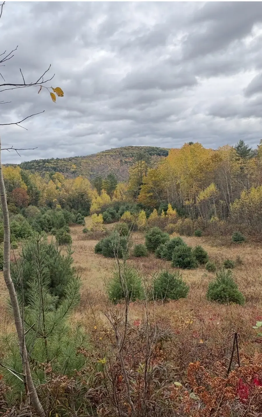 Lot 4 Catterall Road, Lisbon, NH 03585 - #2