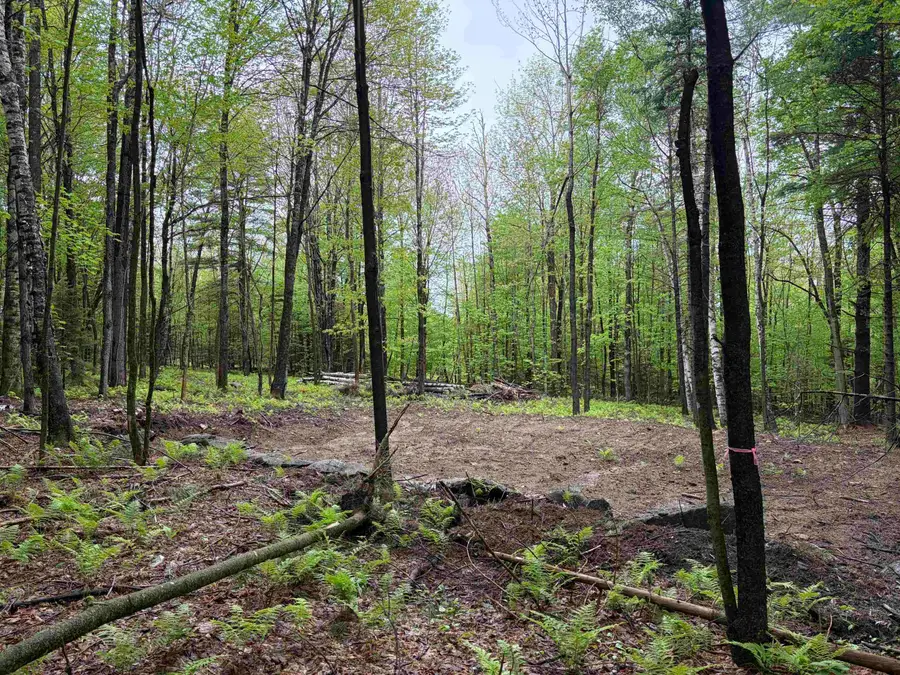 114 Lewis Hill Road, Bethlehem, NH 03574 - #2