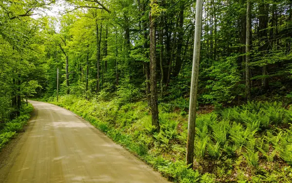 00 Camp Brook Road #Map 30 Lot 67A, Alstead, NH 03602