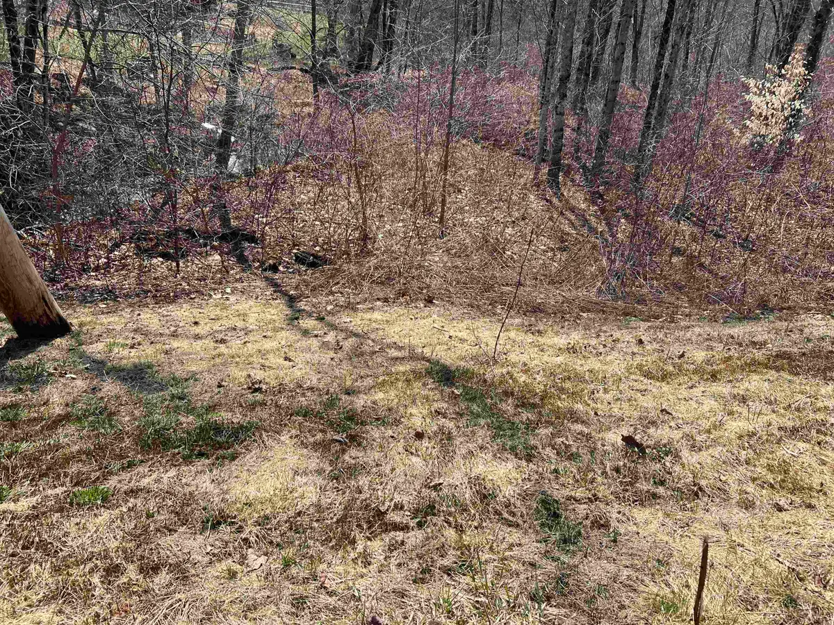 20 Lake Shore Drive, Winchester, NH 03470 - #1
