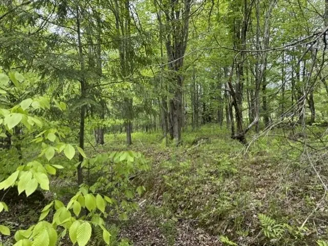 200 Coits Gore Road, Bakersfield, VT 05441 - #3