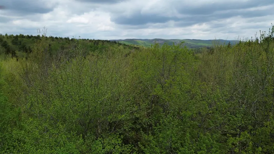 Map 8 Lot 29 Martin Road, Washington, NH 03280 - #2