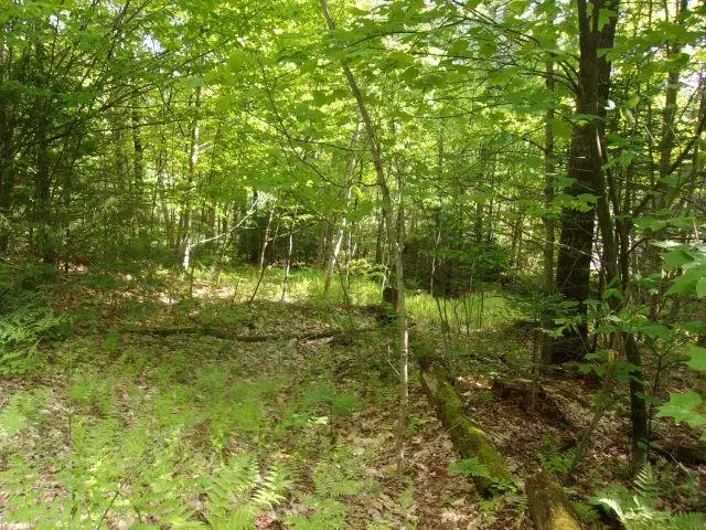 Lincoln Way Road #89, Mountain Lakes, NH 03785 - #1