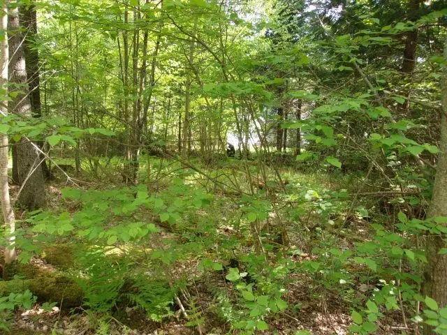 Lincoln Way Road #89, Mountain Lakes, NH 03785 - #2