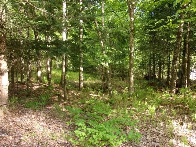 Lincoln Way Road #89, Mountain Lakes, NH 03785 - #3