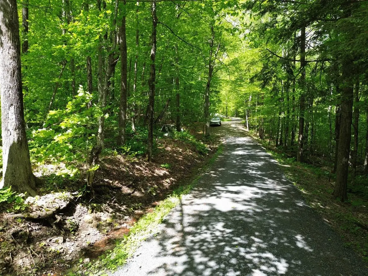 197 Sugar Ledge Road #4, Warren, VT 05674 - #1