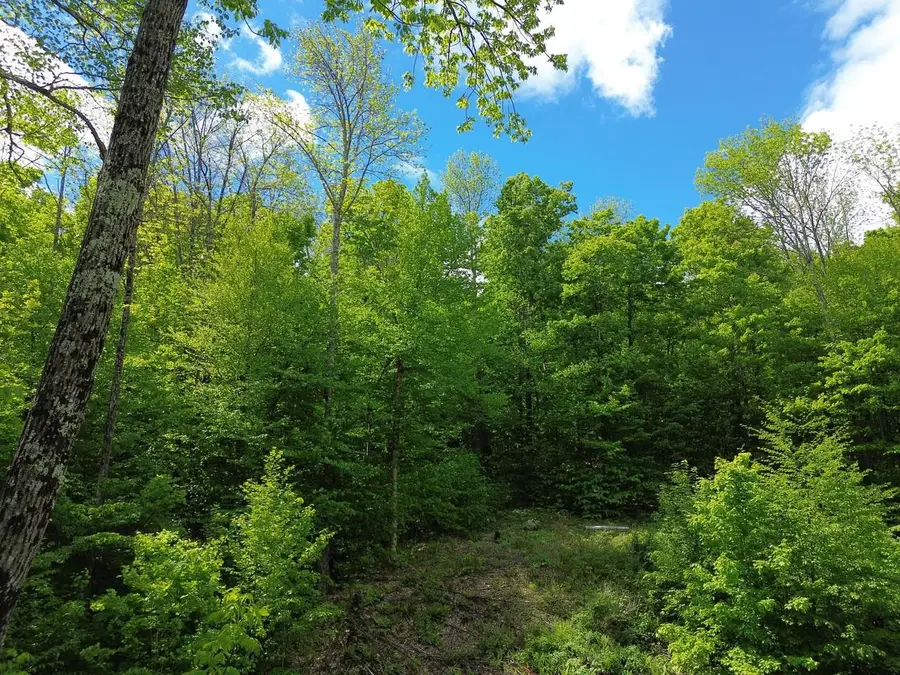 197 Sugar Ledge Road #4, Warren, VT 05674 - #2