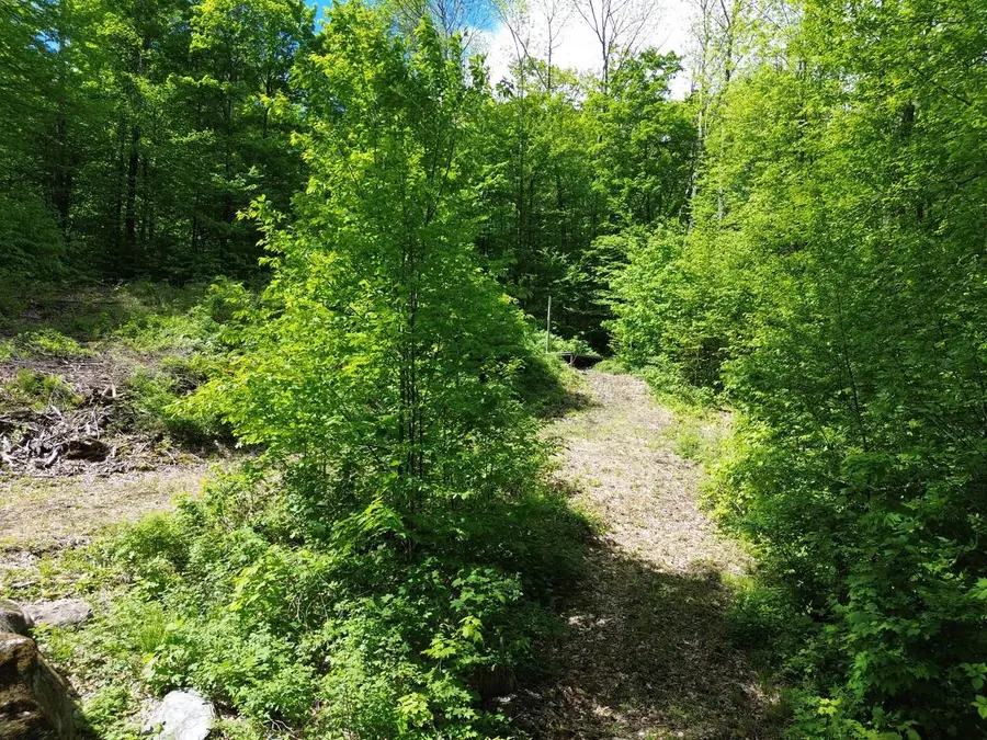 197 Sugar Ledge Road #4, Warren, VT 05674 - #3