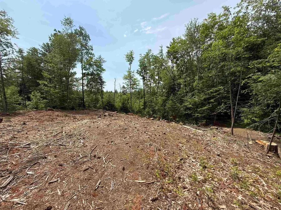 51 Pineridge Road, Middleton, NH 03887 - #2