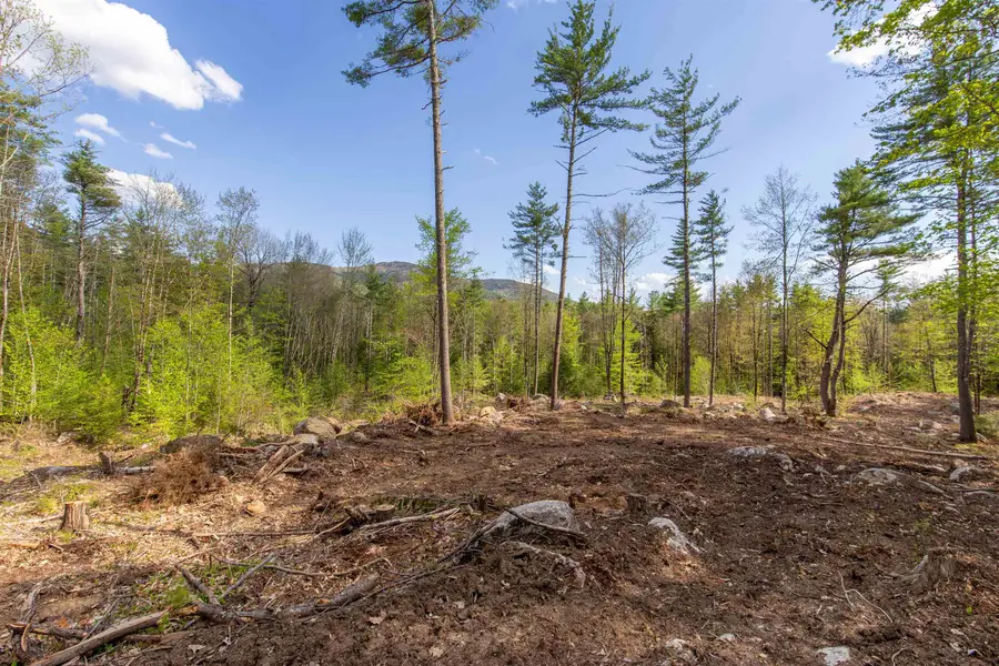 000 Elijah Beede Road, Sandwich, NH 03227 - #2