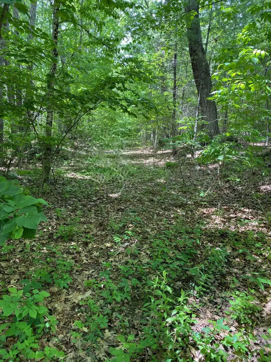 6 Johnny Hill Road, Windham, NH 03087 - #2