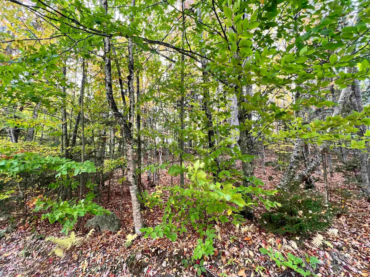 400 Road Round The Lake, Grantham, NH 03753 - #1