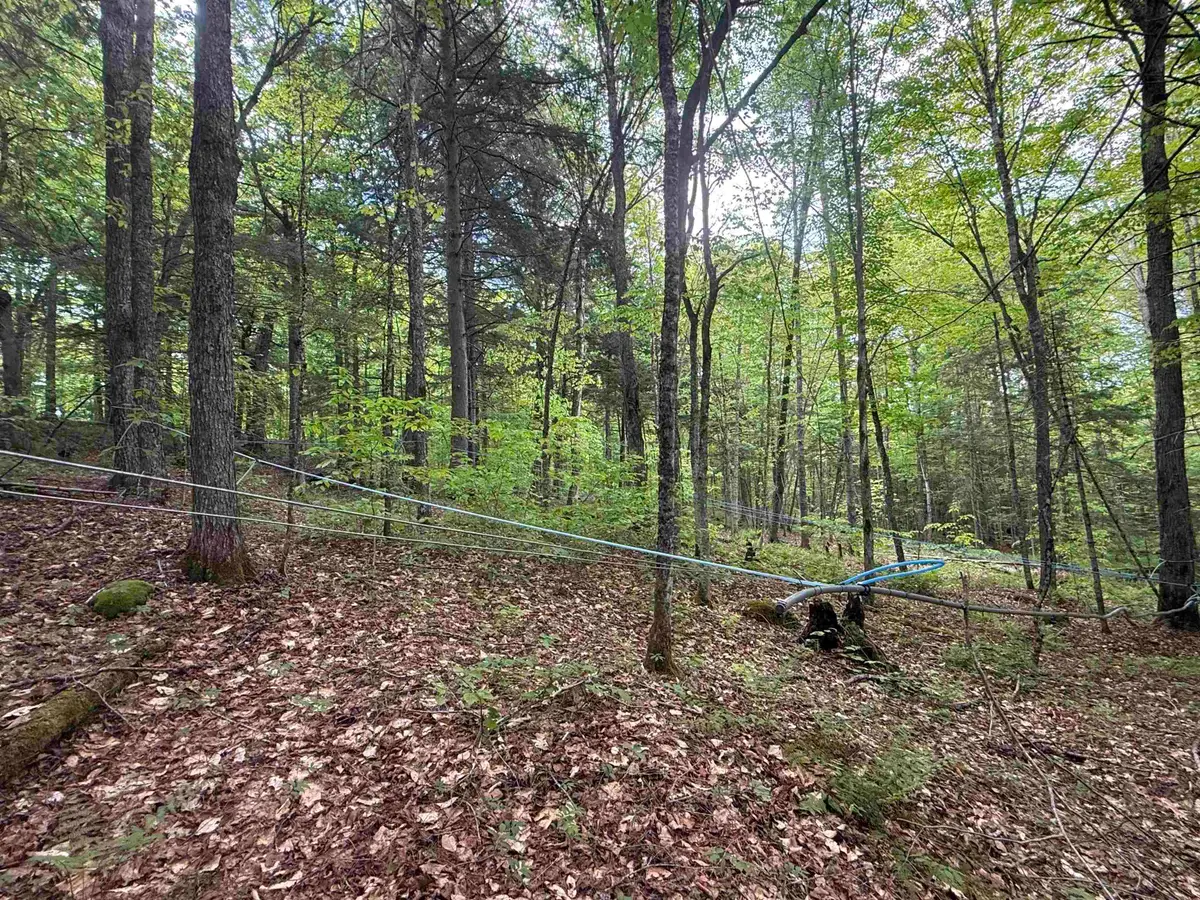 00 Fuller Road, Newbury, VT 05051 - #1