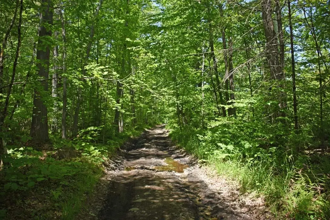 401 Sixth Range Road, Pembroke, NH 03275 - #1