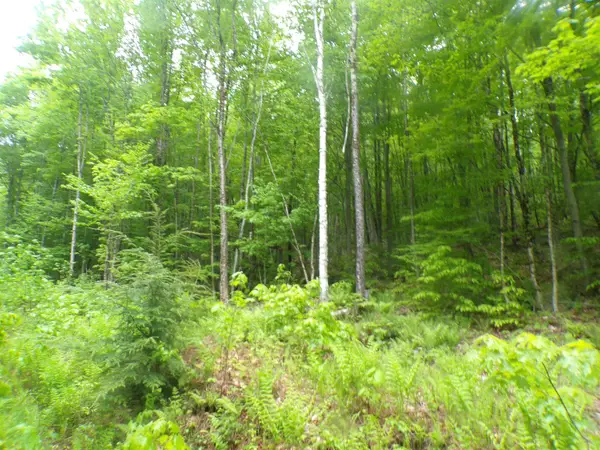 0 Foliage Lane #1, Westmore, VT 05822