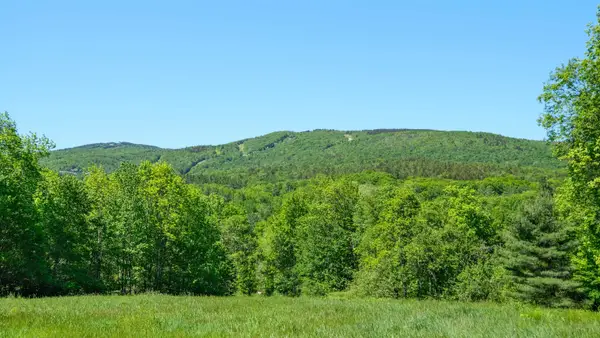 Lot 8 Rod & Gun Club Road, Ludlow, VT 05149