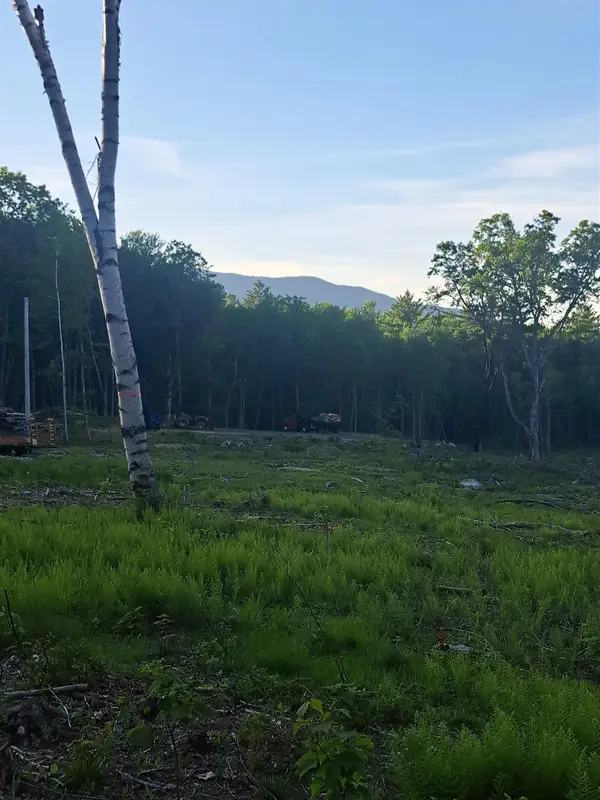 140 Great Road, Jaffrey, NH 03452