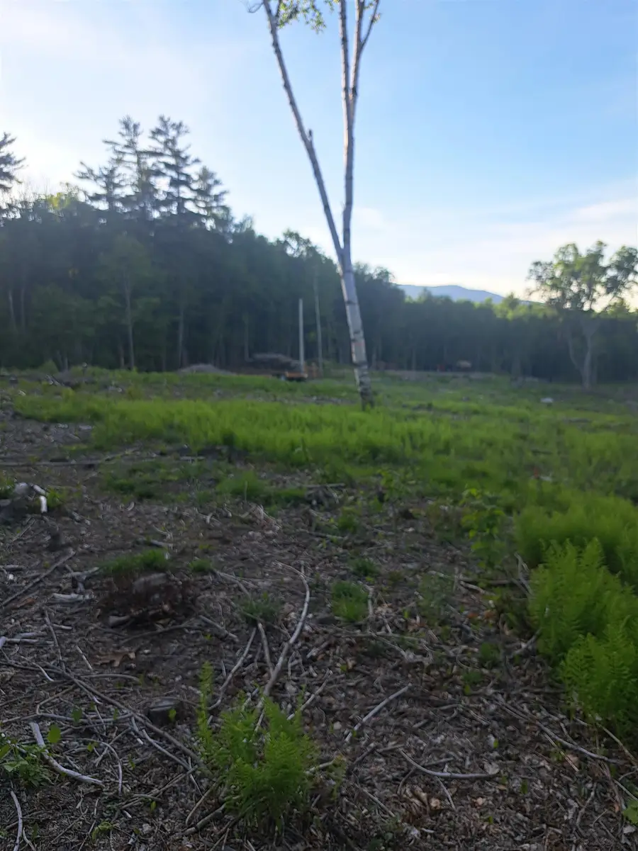 140 Great Road, Jaffrey, NH 03452 - #2