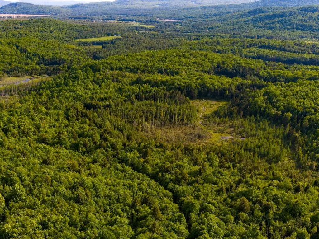 3180 Bear Hill Road, Maidstone, VT 05905 - #1