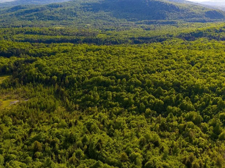 3180 Bear Hill Road, Maidstone, VT 05905 - #2