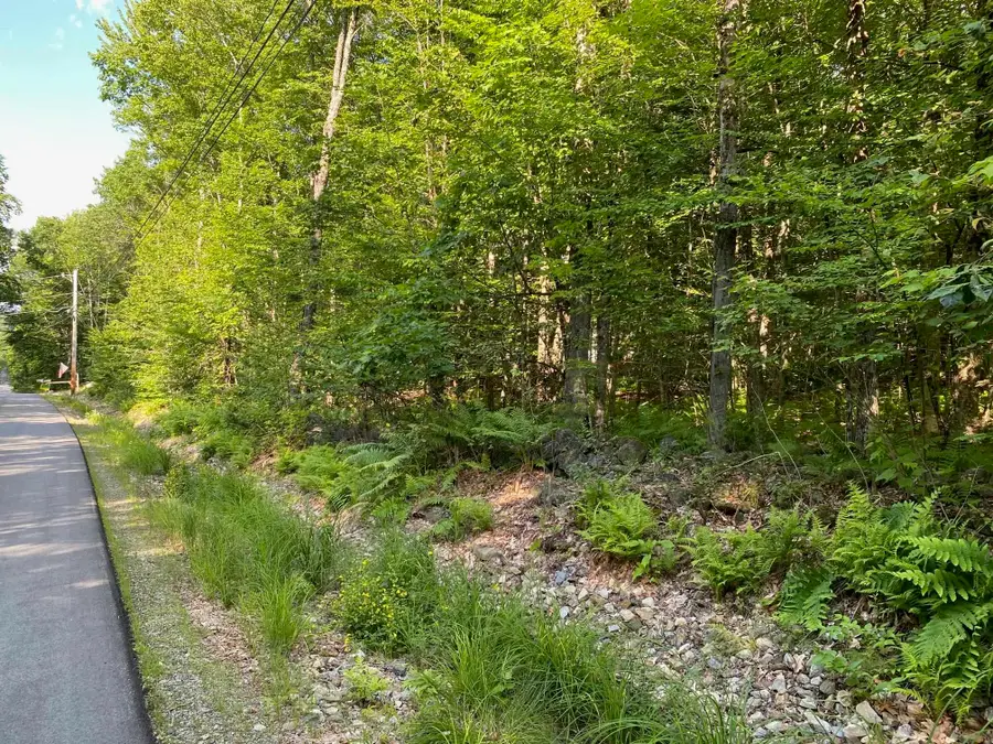 164 Lot 18-3 Mason Road, Milton, NH 03851 - #2