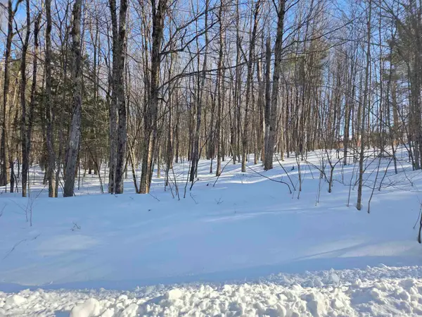 164 Lot 18-2 Mason Road, Milton, NH 03851