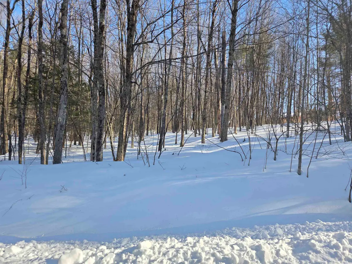 164 Lot 18-1 Mason Road, Milton, NH 03851 - #1