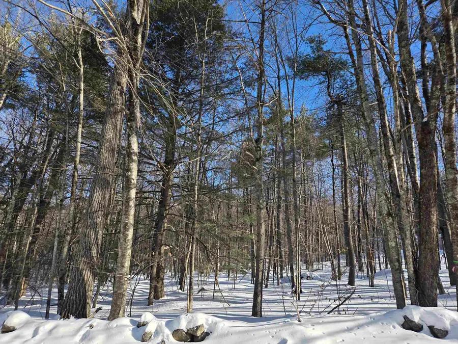 164 Lot 18-1 Mason Road, Milton, NH 03851 - #2