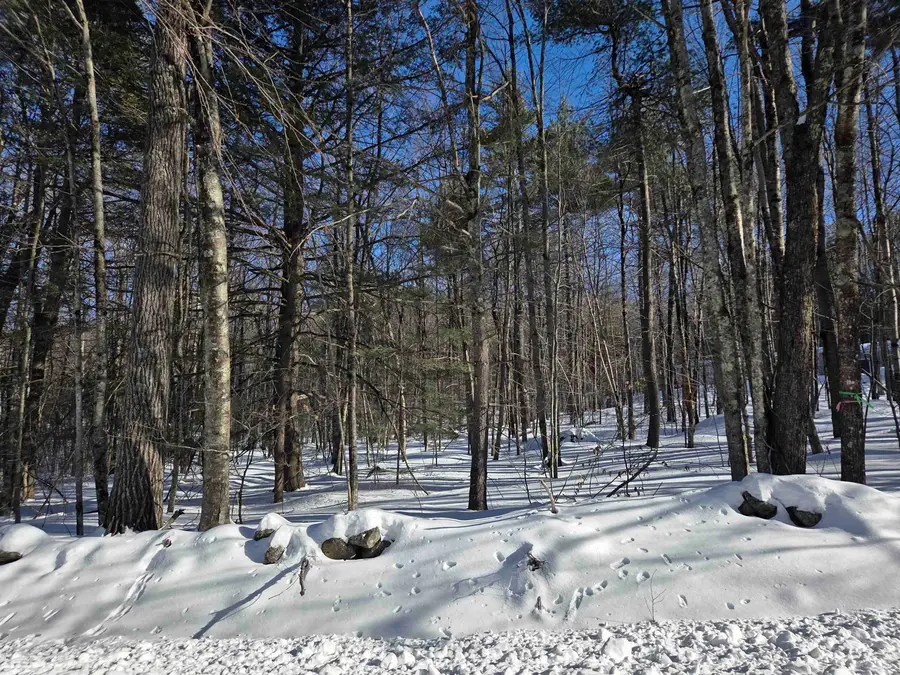 164 Lot 18-1 Mason Road, Milton, NH 03851 - #3